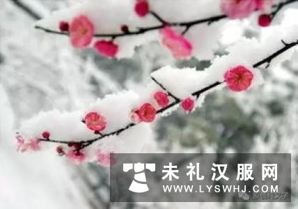 西安市民植物园穿汉服弹古琴踏雪寻梅